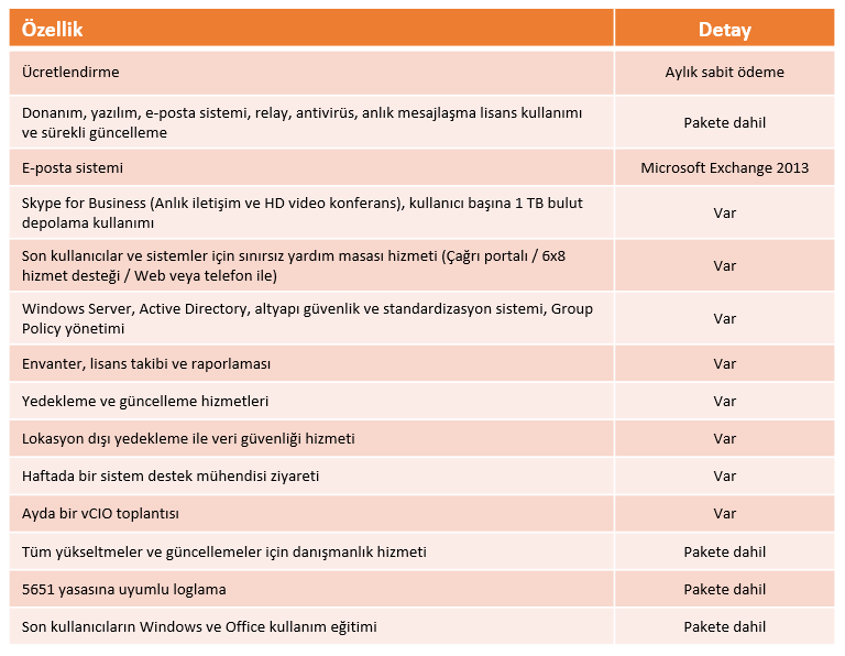 Dileras Yonetilen IT Hizmeti Tablo